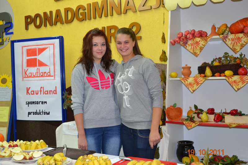 sdz_2011_17